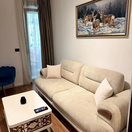 アパート Luxury Near & Grand Park ティラナ