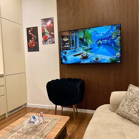 Luxury Near & Grand Park Apartment *